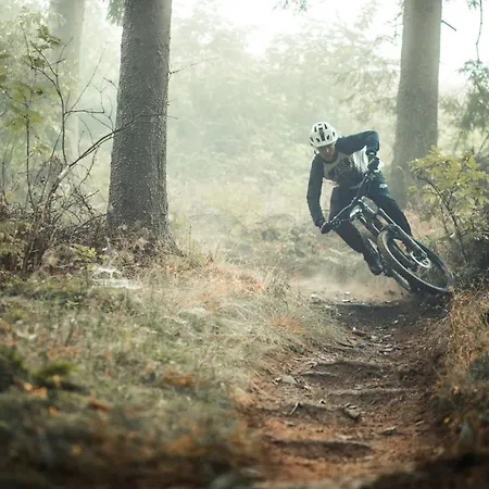 Welcome In - Fichtenweg 31-s I Kurz Vor Bikepark & Skilift Διαμέρισμα Βίντερμπεργκ
