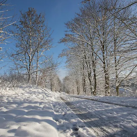 Διαμέρισμα Welcome In - Fichtenweg 31-s I Kurz Vor Bikepark & Skilift Βίντερμπεργκ